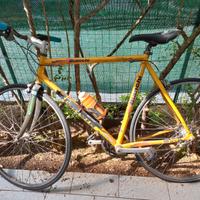 Bicicletta da corsa bianchi