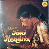 The Live Experience Band: Tribute To Jimi Hendrix 