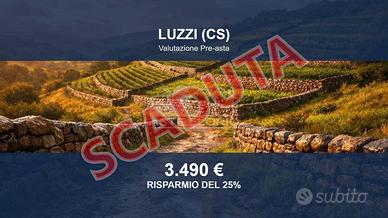 Immobile in asta di 750 m² a Luzzi