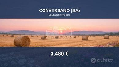 Immobile in asta di 12812 m² a Conversano