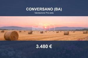 Immobile in asta di 12812 m² a Conversano