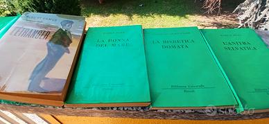 Libri in edizione tascabile