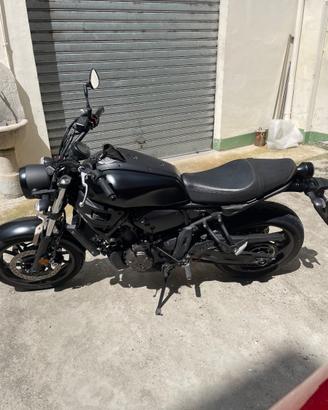 Yamaha XSR 700 - 2023