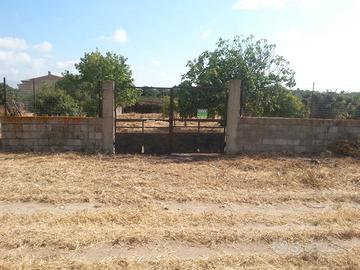 Terreno sito in Riola Sardo