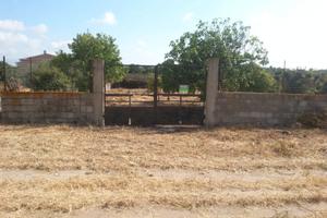 Terreno sito in Riola Sardo