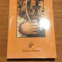 Musei a Bergamo e provincia - 2004