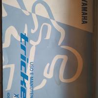 uso manutenzione Yamaha triker