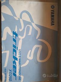 uso manutenzione Yamaha triker