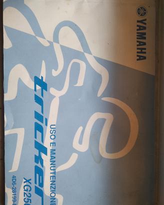 uso manutenzione Yamaha triker