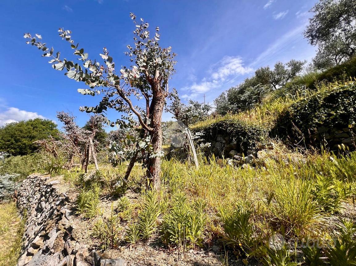 TER. AGRICOLO A FINALE LIGURE - Vista 3