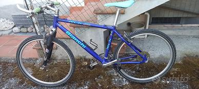 Mountain bike Bianchi