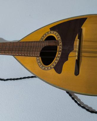 MANDOLINO Ibanez Mr-80 usato 