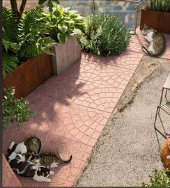 Gattini aspettano una casa?