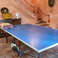 Tavolo da ping pong pieghevole