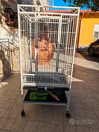 Gabbia pappagalli Pawhut