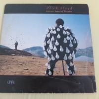 Pink Floyd Delicate Sound of Thunder 1988 vinile