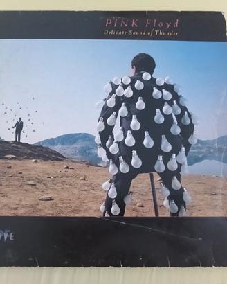 Pink Floyd Delicate Sound of Thunder 1988 vinile