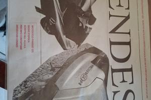 motociclo 
