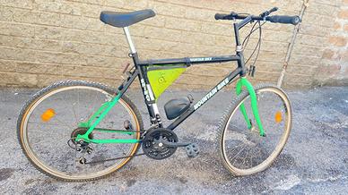 bicicletta mountain bike