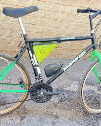 bicicletta mountain bike