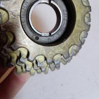 Ruota libera Regina Oro 6v 14-24