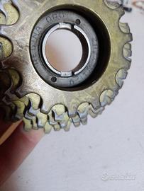 Ruota libera Regina Oro 6v 14-24
