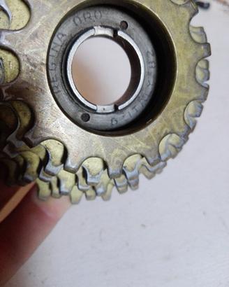 Ruota libera Regina Oro 6v 14-24