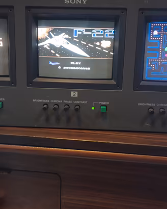 Sony trinitron PV5310