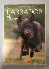 Il labrador al lavoro libro cinofilia