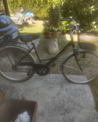bicicletta 