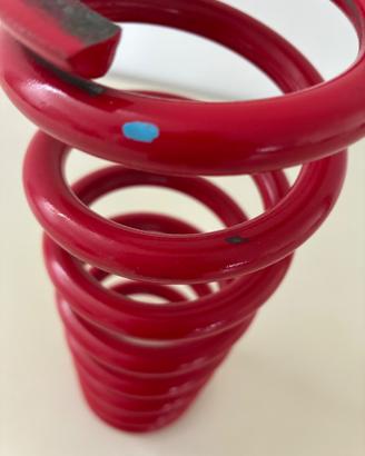 Suzuki RM-Z molla mono ammortizzatore