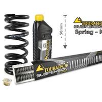 ASSETTO RIBASSATO BMW F800GS