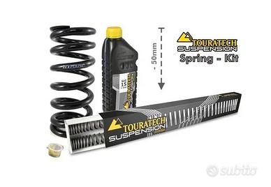 ASSETTO RIBASSATO BMW F800GS