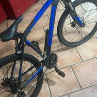 Bici mountain bike coppi