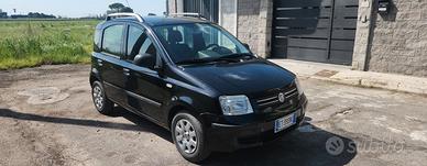 fiat panda 1.2 benzina limited edition alcantare 