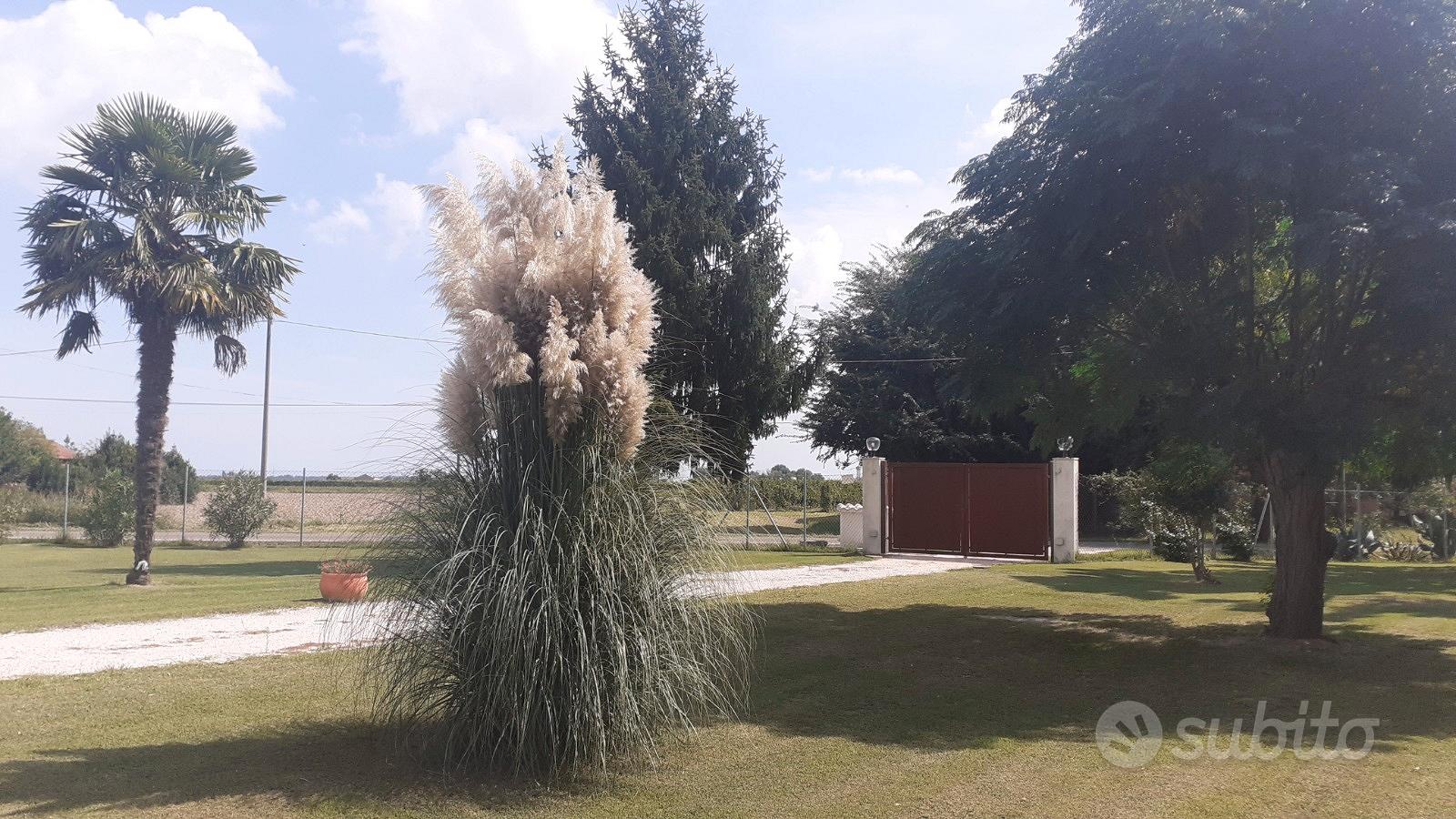 House in Argenta, Consandolo - Vista 3