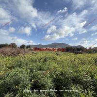 Terreno, Cruillas - San Giovanni Apostolo, Palermo