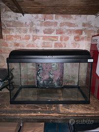 Acquario 50 litri (59 L x 29 P x 34 H)