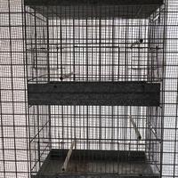 Gabbia batteria da cova