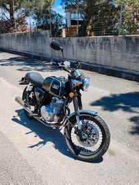 Mash Black Seven 250