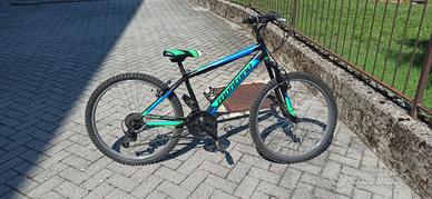 bici  Montana da bambino/a cerchio 24