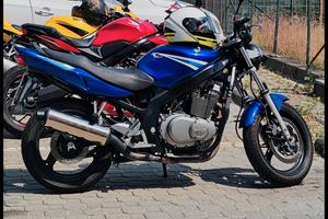Suzuki GS500