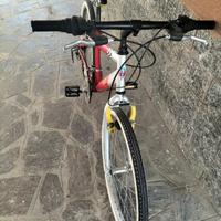 bici bambino/ Ragazzo Doniselli MTB 24