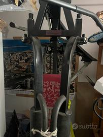 Palestra da casa rovera