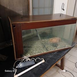 Terrario Acquario 300 llt