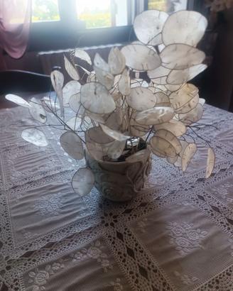 Semi di lunaria