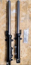 Kawasaki ZRX 1200 forcella pinze piastre