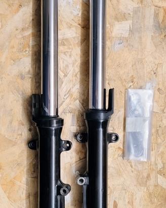 Kawasaki ZRX 1200 forcella pinze piastre