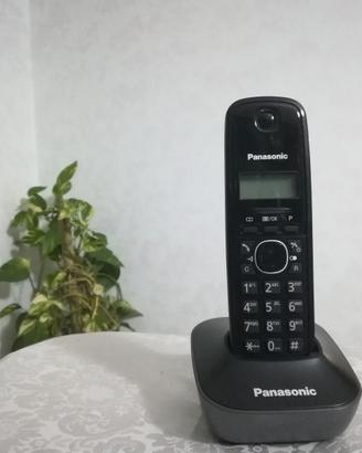 Telefono Cordless Digitale Panasonic KX-TG1611