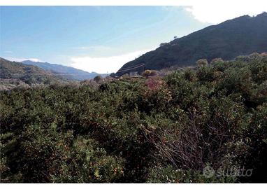 Terreno prossimo alle Gole dell'Alcanta